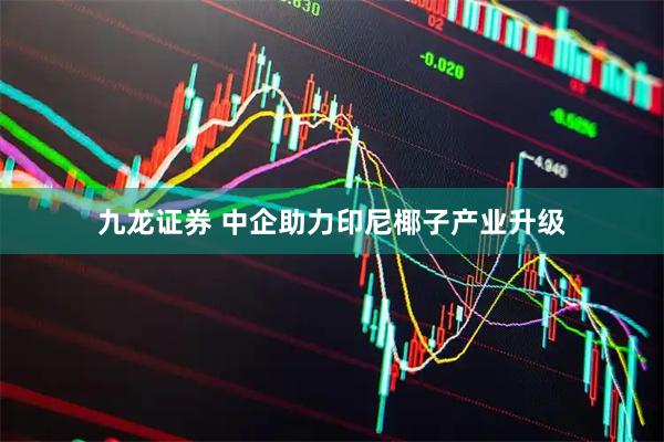 九龙证券 中企助力印尼椰子产业升级