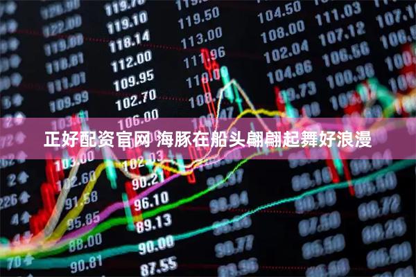 正好配资官网 海豚在船头翩翩起舞好浪漫